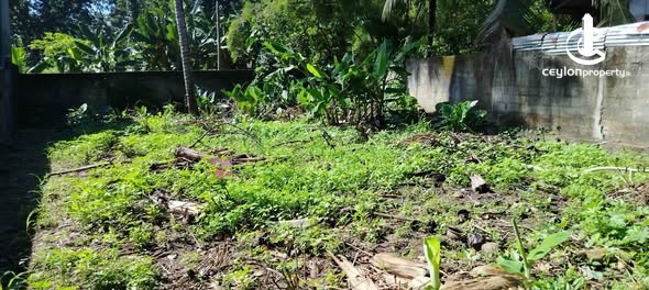 Land for Sale in Hokandara - Land for sale in Hokandara - photo 3
