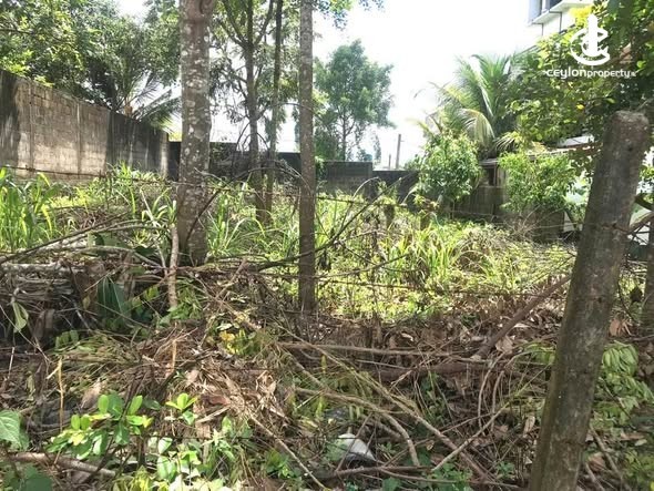 Land for Sale in Kesbewa - House for sale in Kesbewa - photo 1
