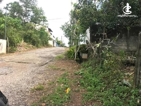 Land for Sale in Kesbewa - House for sale in Kesbewa - photo 4