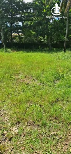Land for Sale in Mount Lavinia - Land for Sale in Mount Lavinia - photo 1