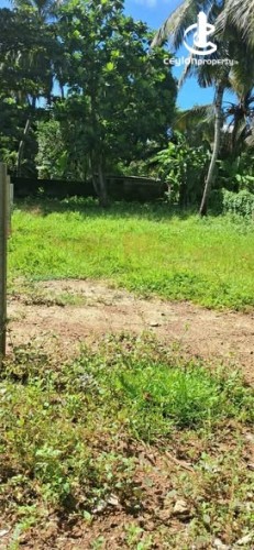 Land for Sale in Mount Lavinia - Land for Sale in Mount Lavinia - photo 3