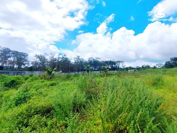 Land for Sale in Colombo 15 (Mattakkuliya) - Land for Sale in Colombo - photo 3