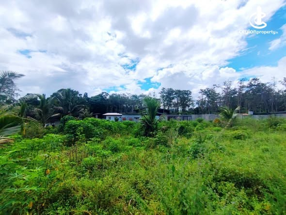 Land for Sale in Colombo 15 (Mattakkuliya) - Land for Sale in Colombo - photo 4