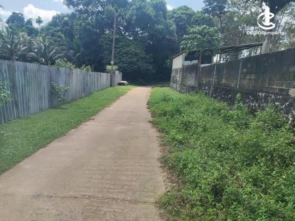 Land for Sale in Colombo 15 (Mattakkuliya) - Land for Sale in Colombo - photo 5