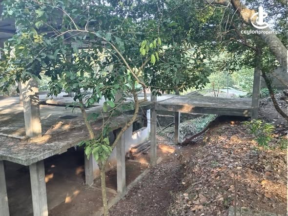 House for Sale in Kurunegala - House for Sale in Kurunegala - photo 3