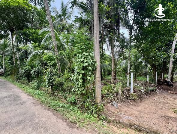 Land for Sale in Horana - Land for Sale in Horana - photo 3