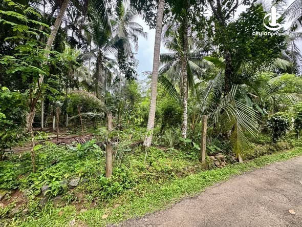 Land for Sale in Horana - Land for Sale in Horana - photo 4