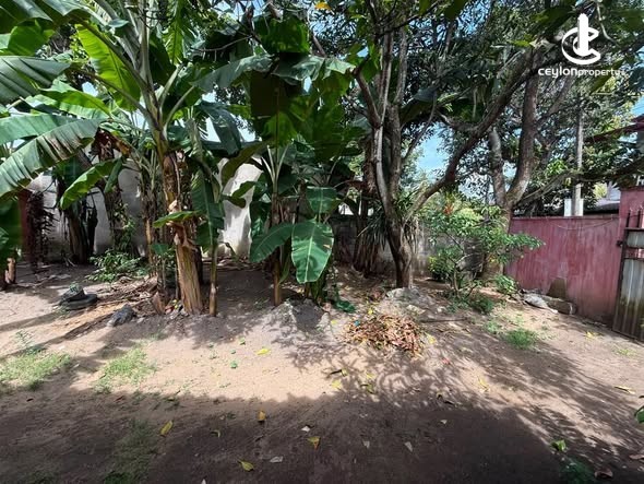 House for Sale in Wattala - House for Sale in Wattala - photo 2