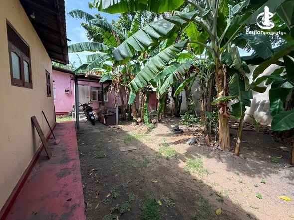 House for Sale in Wattala - House for Sale in Wattala - photo 3
