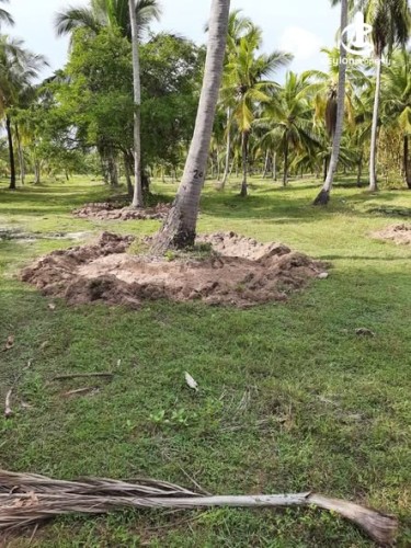 Land for Sale in Chilaw - Land for Sale in Chilaw - photo 3
