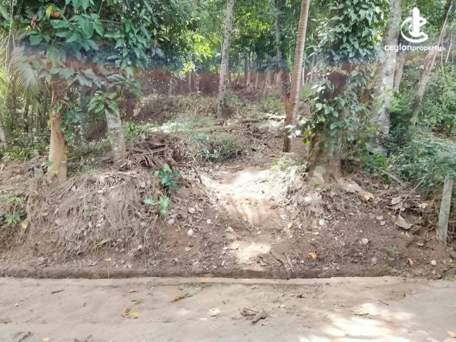 Land for Sale in Kandy - Land for sale in Kandy - photo 1