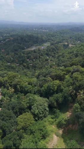 Land for Sale in Kandy - Land for sale in Kandy - photo 2
