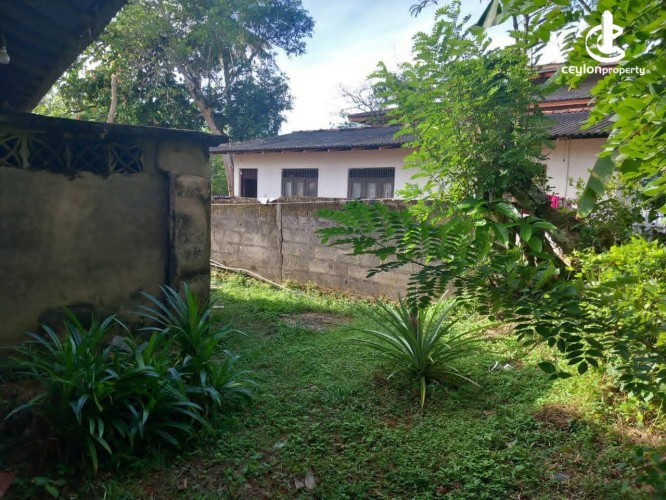 Land for Sale in Panadura - Land for sale in Panadura - photo 2