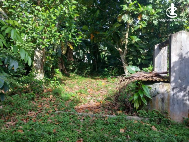 Land for Sale in Panadura - Land for sale in Panadura - photo 3