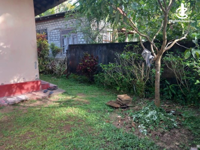 Land for Sale in Panadura - Land for sale in Panadura - photo 4