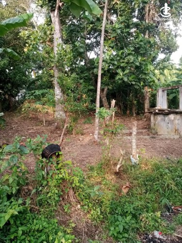 Land for Sale in Panadura - Land for sale in Panadura - photo 5
