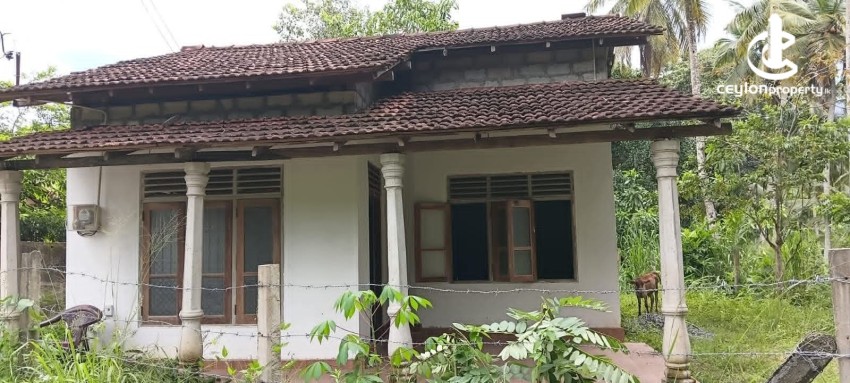 House for Sale in Gampaha - House for Sale in Gampaha - photo 1