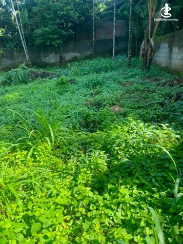 Land for Sale in Katugastota - Land for Sale in Katugasthota - photo 1