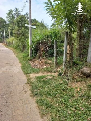 Land for Sale in Kandy - Land for Sale in Kandy - photo 2