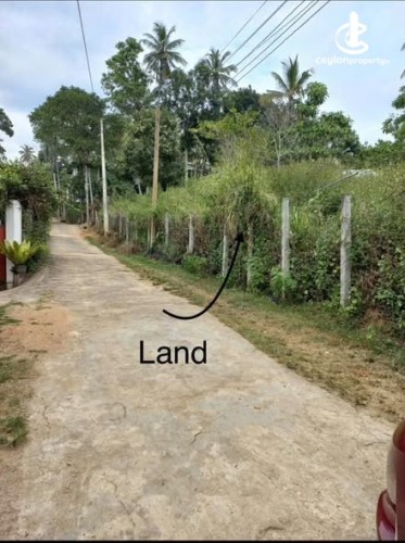 Land for Sale in Kandy - Land for Sale in Kandy - photo 3