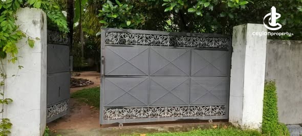 Land for Sale in Negombo - Land for Sale in Negombo - photo 1