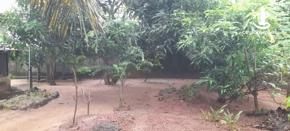 Land for Sale in Negombo - Land for Sale in Negombo - photo 5