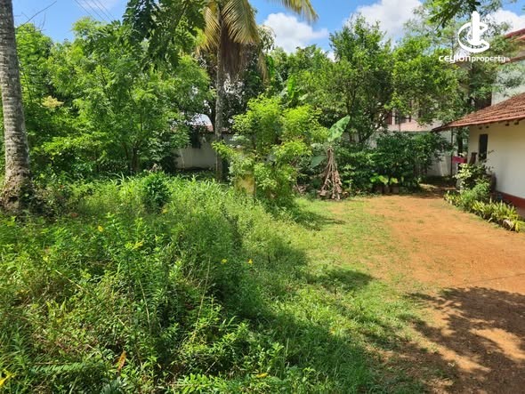 Land for Sale in Homagama - Land for Sale in Homagama - photo 2