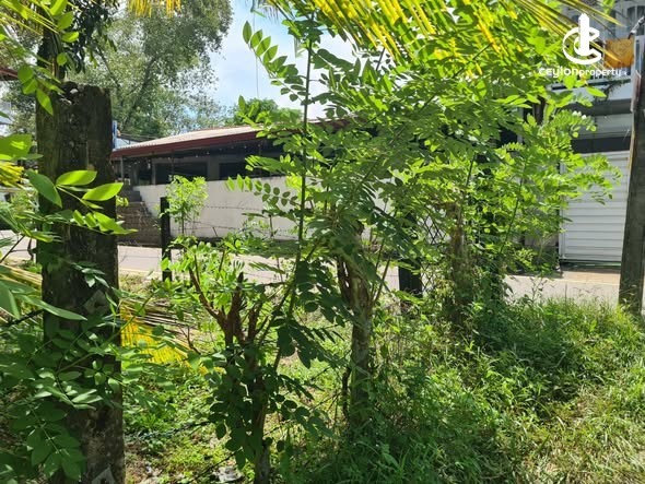 Land for Sale in Homagama - Land for Sale in Homagama - photo 4