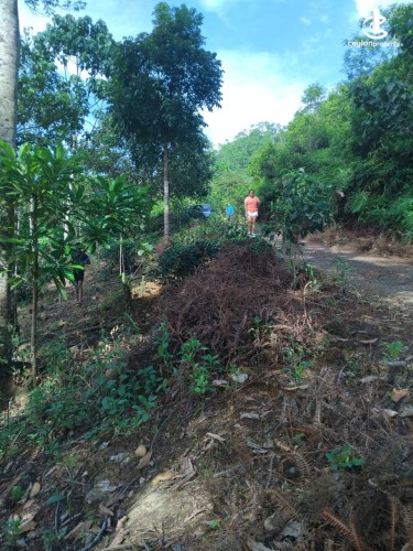 Land for Sale in Ginigathena - Land for Sale in Ginigathena - photo 1