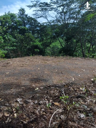 Land for Sale in Ginigathena - Land for Sale in Ginigathena - photo 2