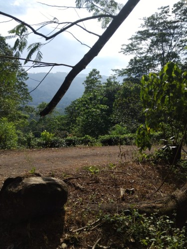 Land for Sale in Ginigathena - Land for Sale in Ginigathena - photo 4