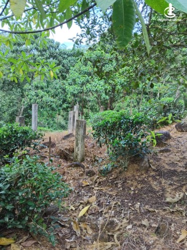 Land for Sale in Ginigathena - Land for Sale in Ginigathena - photo 6