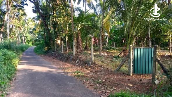 Land for Sale in Alawwa - Land for sale in Alawwa - photo 4