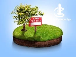 Land for Sale in Weeraketiya - Land for sale in Weeraketiya - photo 1