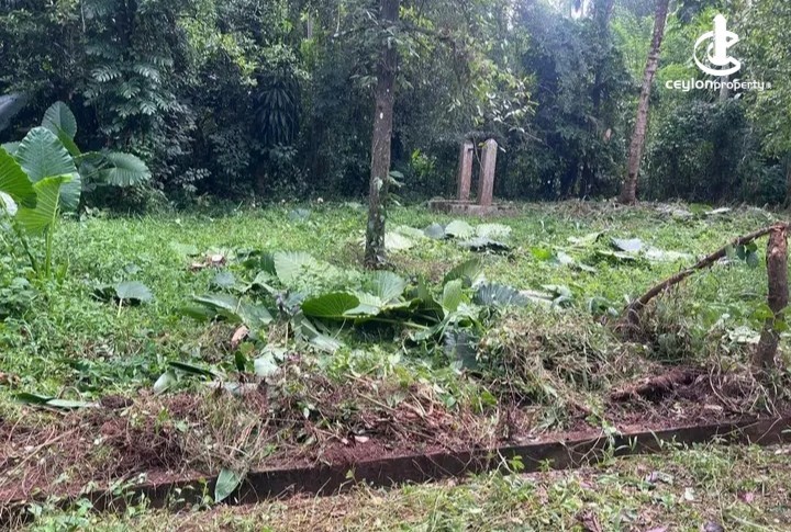 Land for Sale in Matale - Land for sale in Matale - photo 3