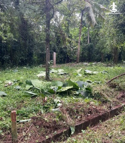 Land for Sale in Matale - Land for sale in Matale - photo 4