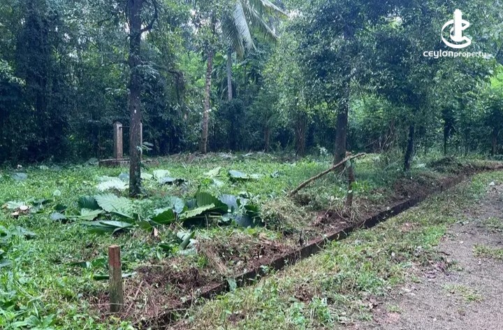 Land for Sale in Matale - Land for sale in Matale - photo 5
