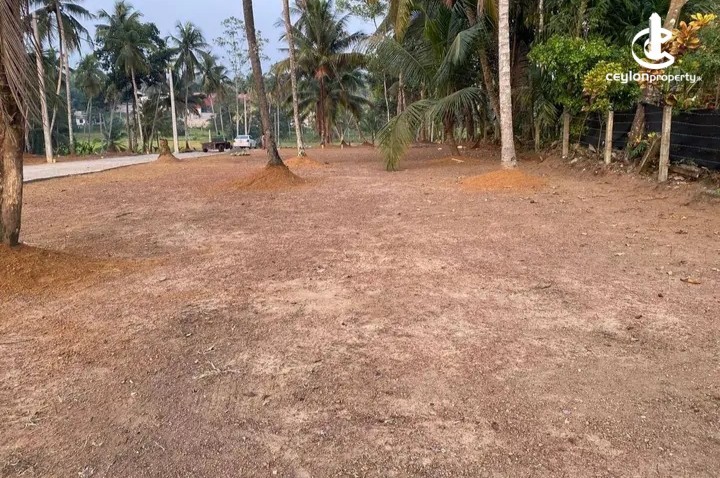 Land for Sale in Kadawatha - Land for sale in Kadawatha - photo 4