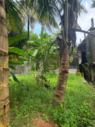 Land for Sale in Kaduwela - Land for sale in kaduwela - photo 3