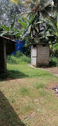 House for Sale in Gampaha - House for Sale in Gampaha - photo 3