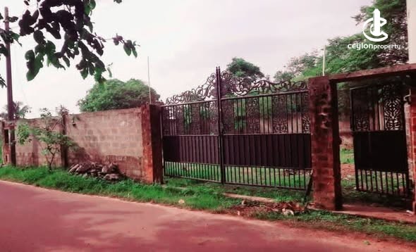 Land for Sale in Pannipitiya - Land for Sale in Pannipitiya - photo 1