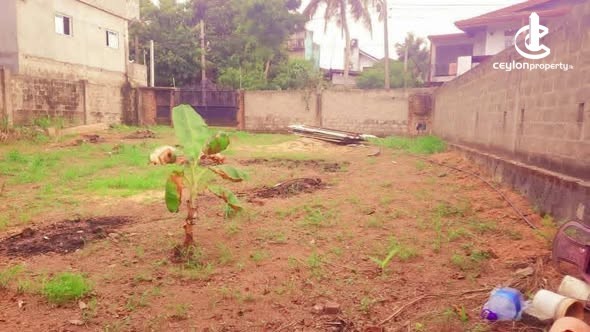 Land for Sale in Pannipitiya - Land for Sale in Pannipitiya - photo 3