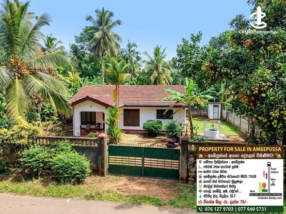 House for Sale in Gampaha - House for Sale in Gampaha - photo 1