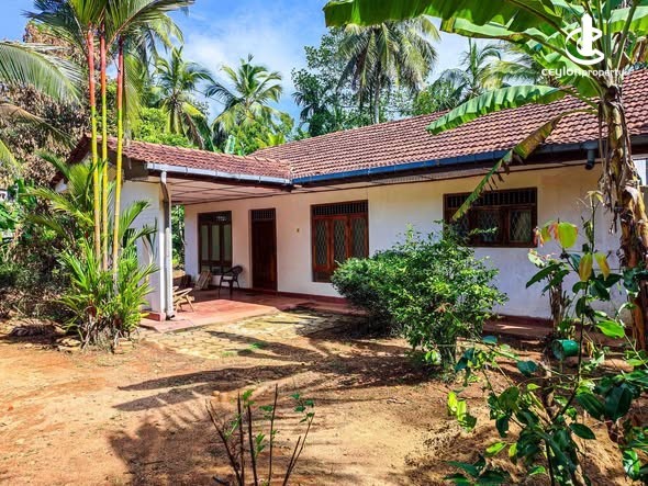 House for Sale in Gampaha - House for Sale in Gampaha - photo 2