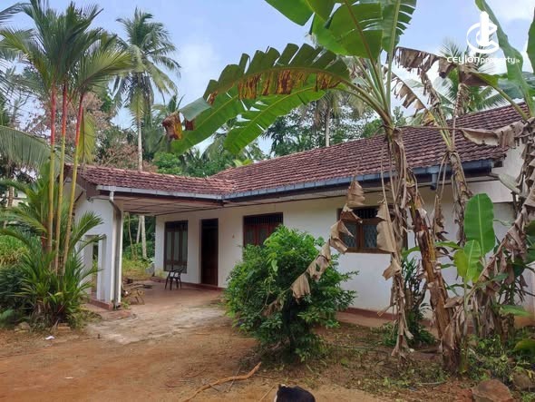 House for Sale in Gampaha - House for Sale in Gampaha - photo 4