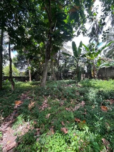 Land for Sale in Battaramulla - Land for Sale in Battaramulla - photo 1