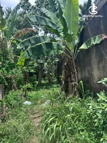 Land for Sale in Battaramulla - Land for Sale in Battaramulla - photo 3