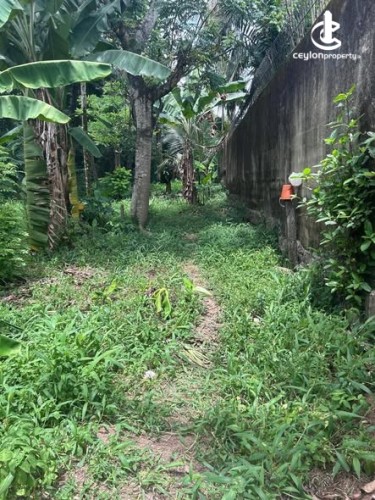 Land for Sale in Battaramulla - Land for Sale in Battaramulla - photo 4