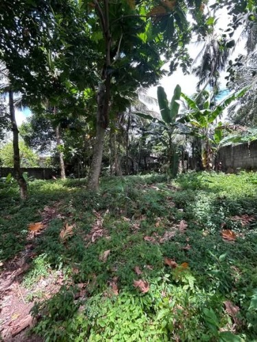 Land for Sale in Battaramulla - Land for Sale in Battaramulla - photo 5