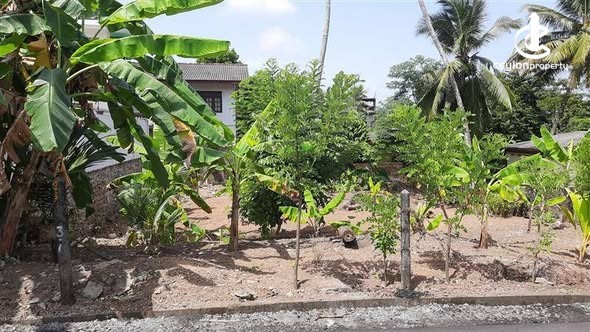 Land for Sale in Kottawa - Land for Sale in Kottawa - photo 2